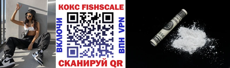 площадка официальный сайт  Купино  COCAIN Fish Scale 