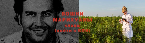 крисы Беломорск